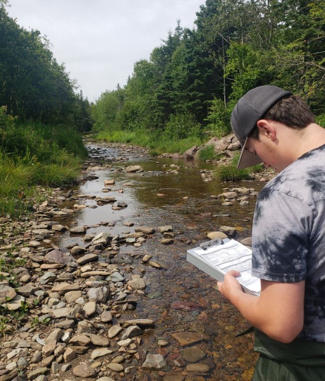 stream