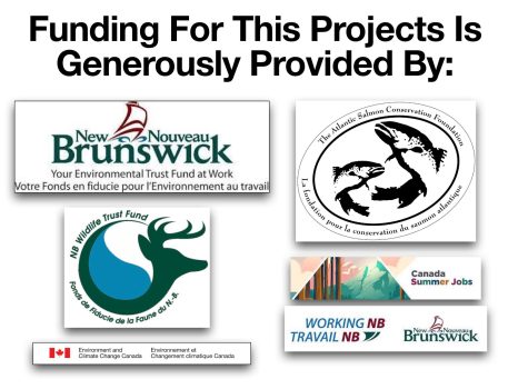 funding funding
