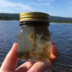 waterquality